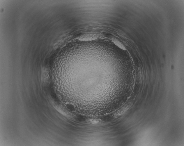 X0000067380654200603311212