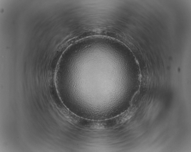X0000067380656200603311212