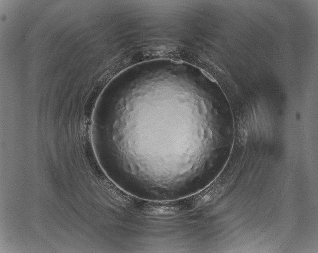 X0000067380657200603311212