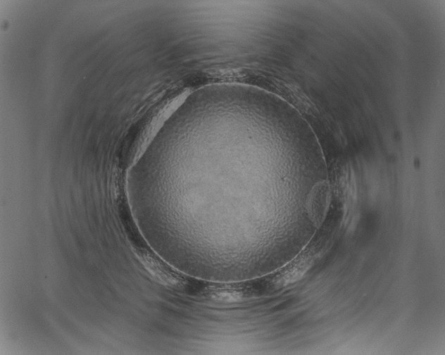 X0000067380658200603311212