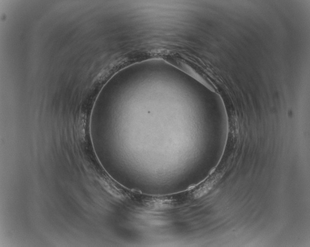 X0000067380664200603311212