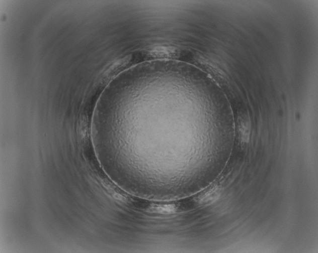 X0000067380665200603311212