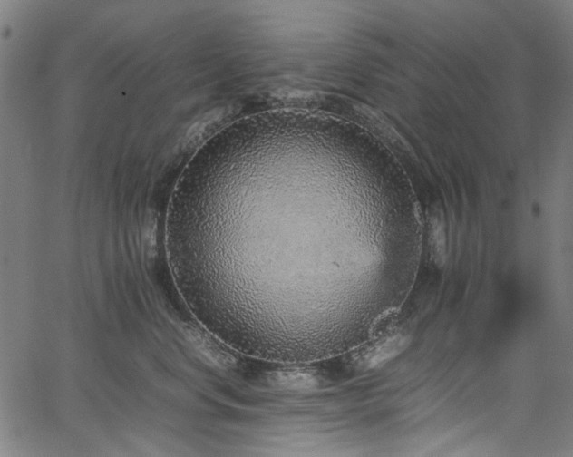 X0000067380668200603311212