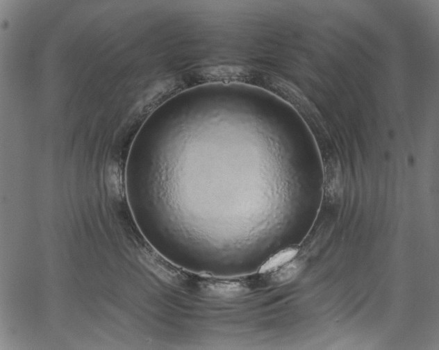 X0000067380669200603311212