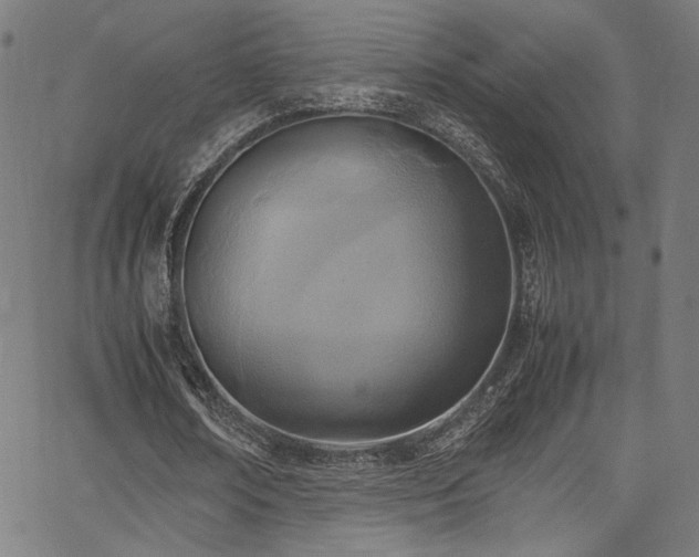 X0000067380674200603311211