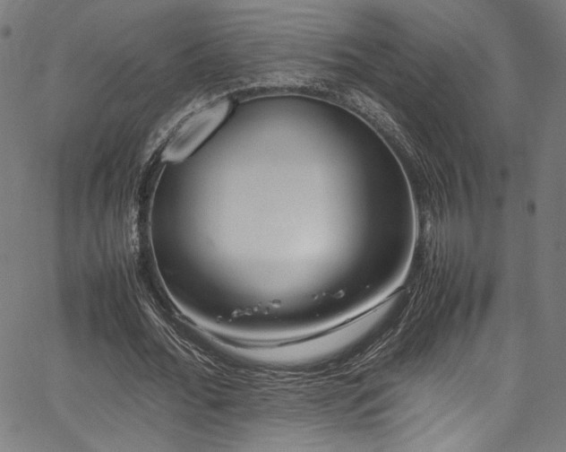X0000067380676200603311211