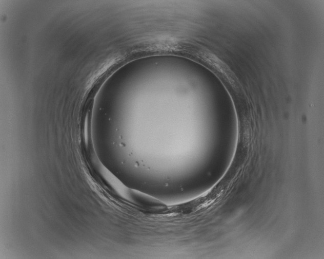 X0000067380677200603311211