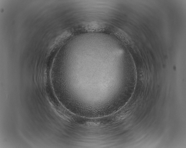 X0000067380690200603311211