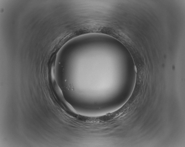X0000067380693200603311211
