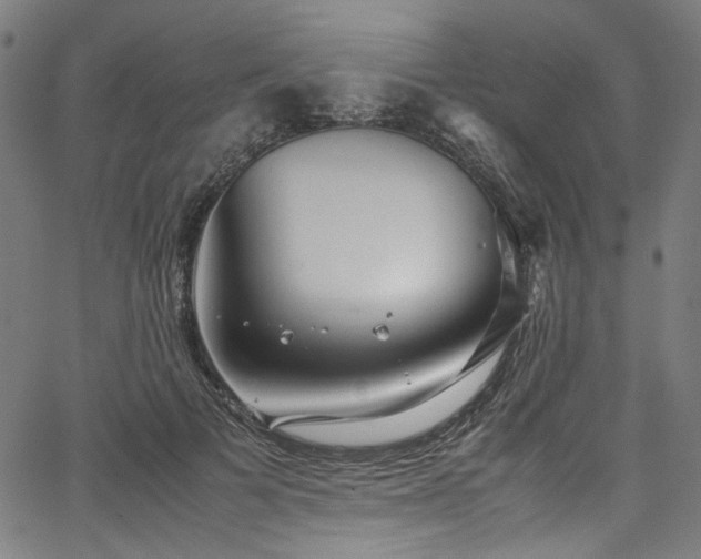 X0000067380697200603311211