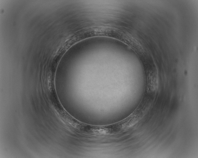 X0000067380698200603311211