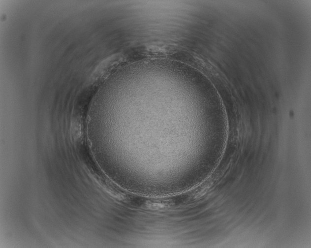 X0000067380706200603311211