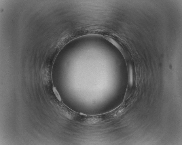X0000067380708200603311211