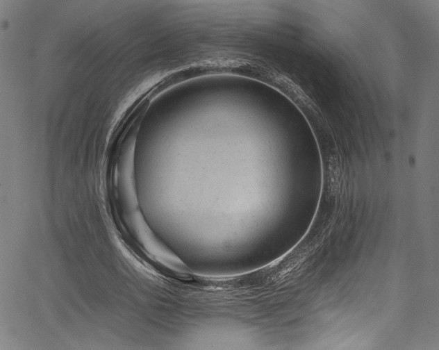 X0000067380726200603311210