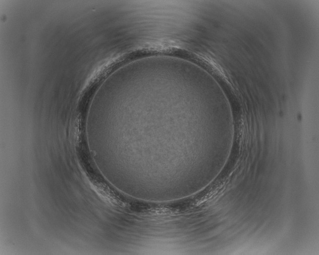 X0000067380736200603311210