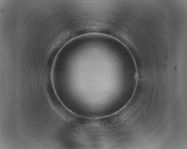 X0000067380738200603311210