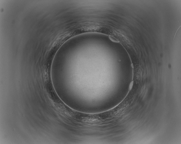 X0000067380743200603311210