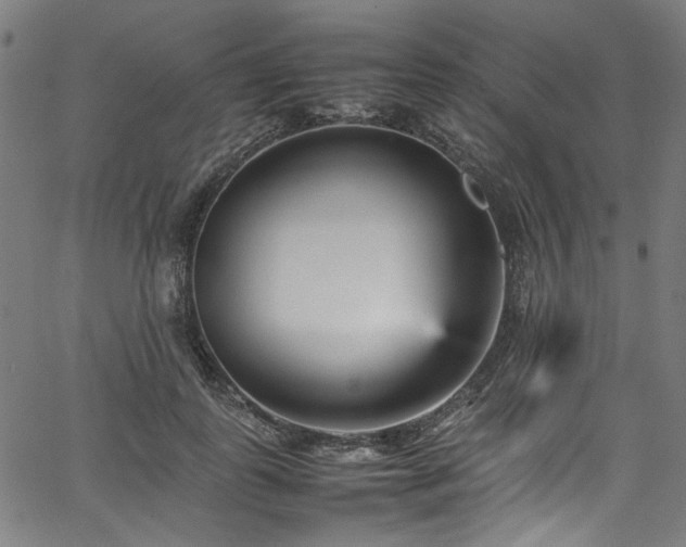 X0000067380747200603311210