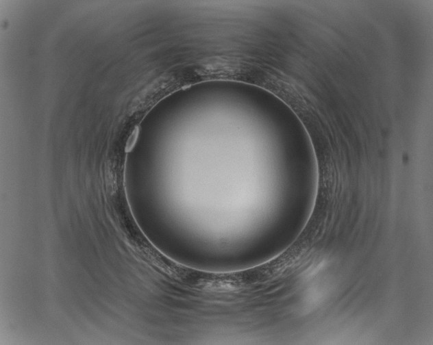 X0000067380751200603311210