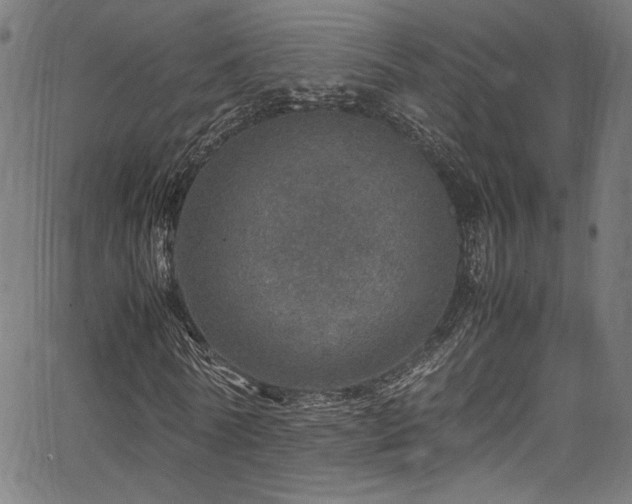 X0000067380770200603311210