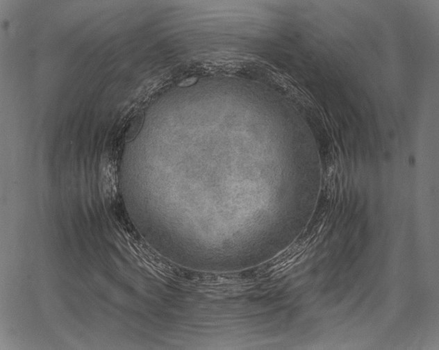 X0000067380772200603311210