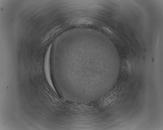 X0000067380774200603311210