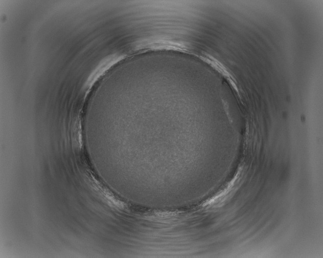 X0000067380782200603311209