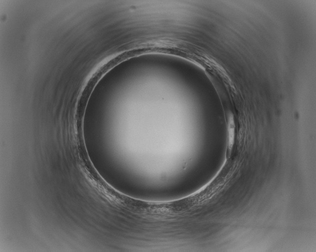 X0000067380784200603311209