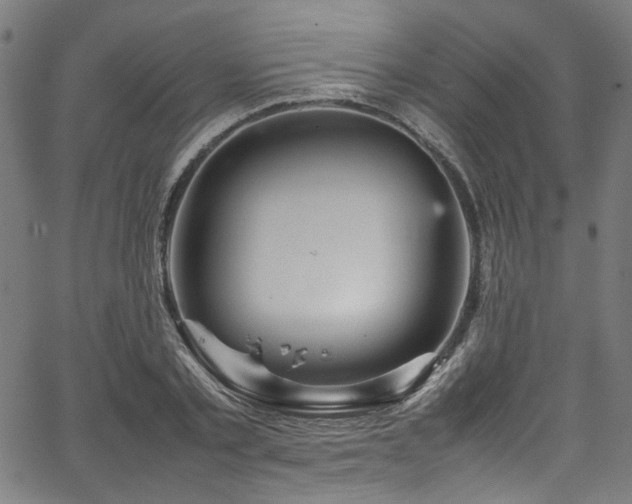 X0000067380789200603311209