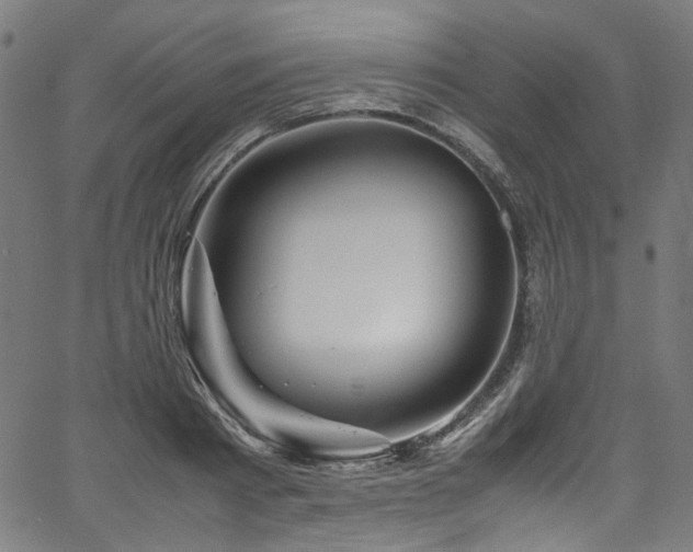 X0000067380793200603311209