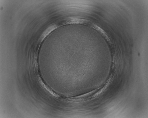X0000067380794200603311209
