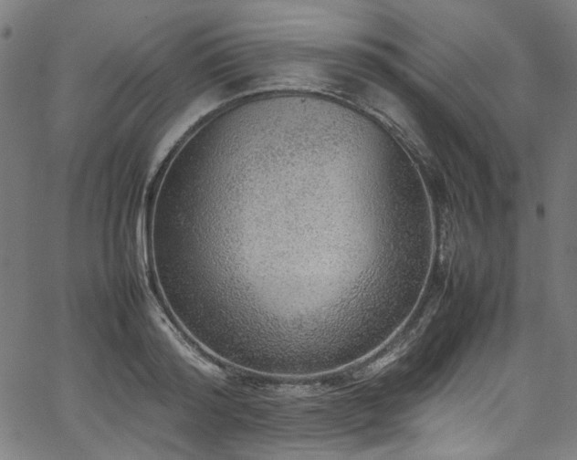X0000067380796200603311209