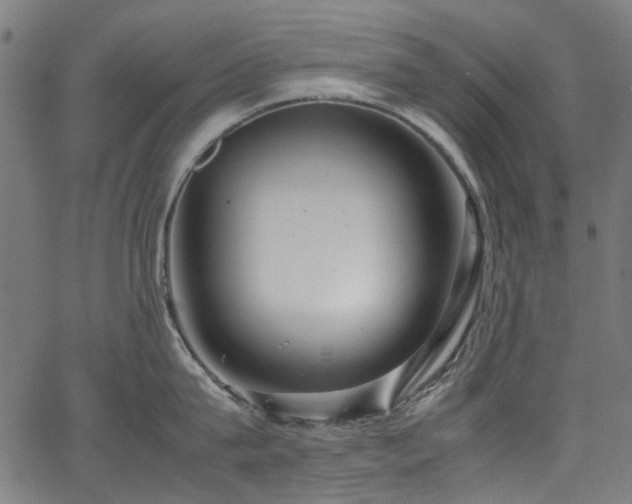 X0000067380815200603311209