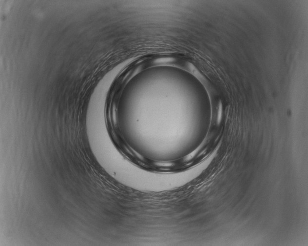 X0000067380818200603311208
