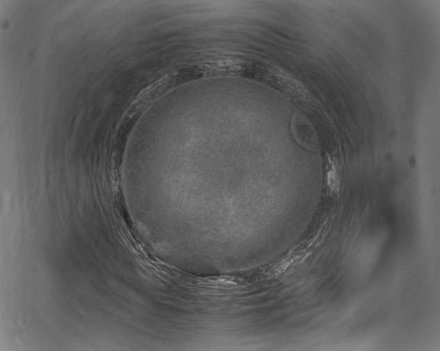 X0000067380819200603311208