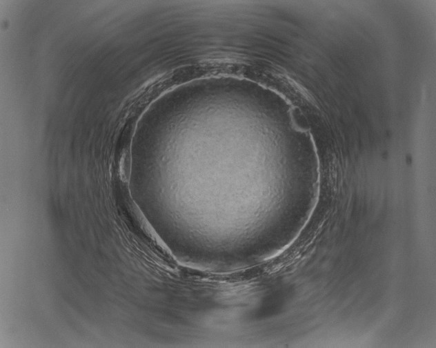 X0000067380821200603311208
