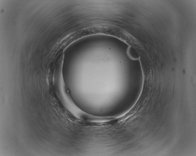 X0000067380822200603311208