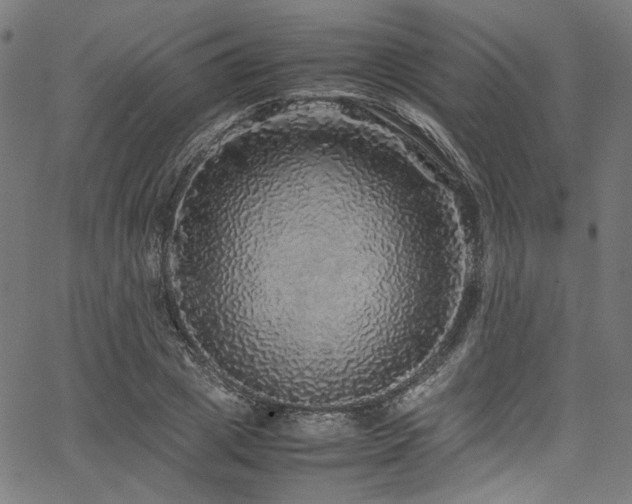 X0000067380833200603311208