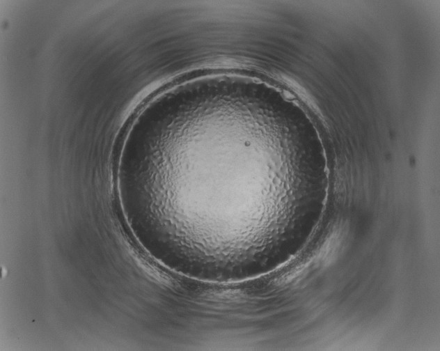 X0000067380837200603311208