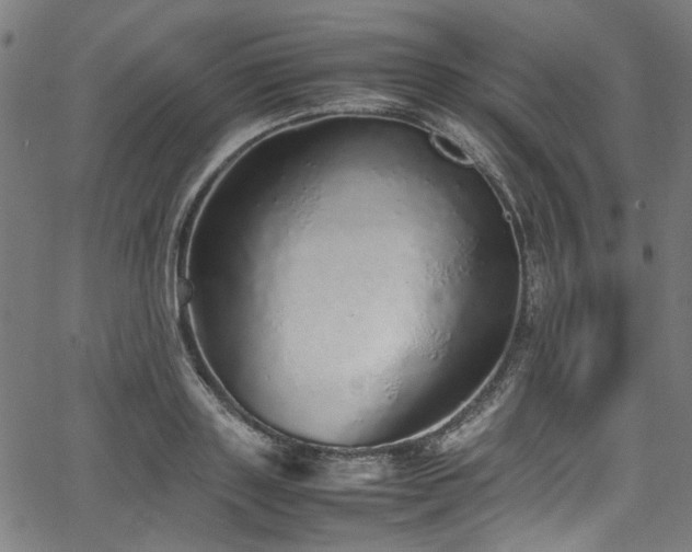 X0000067380843200603311208