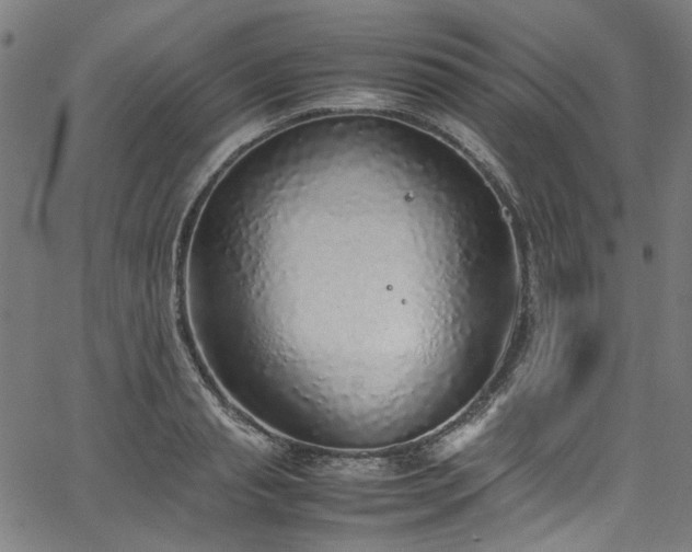 X0000067380845200603311209