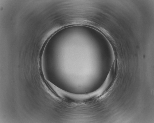 X0000067380846200603311209