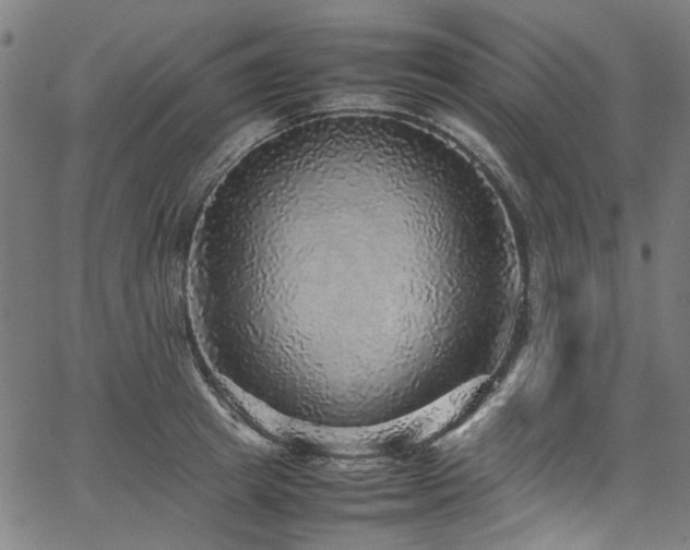 X0000067380849200603311209