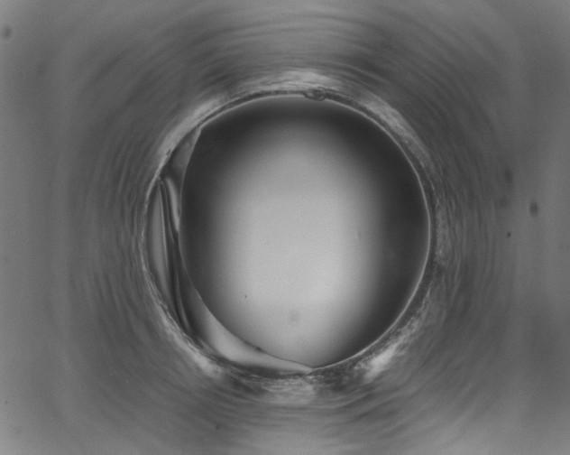 X0000067380850200603311209