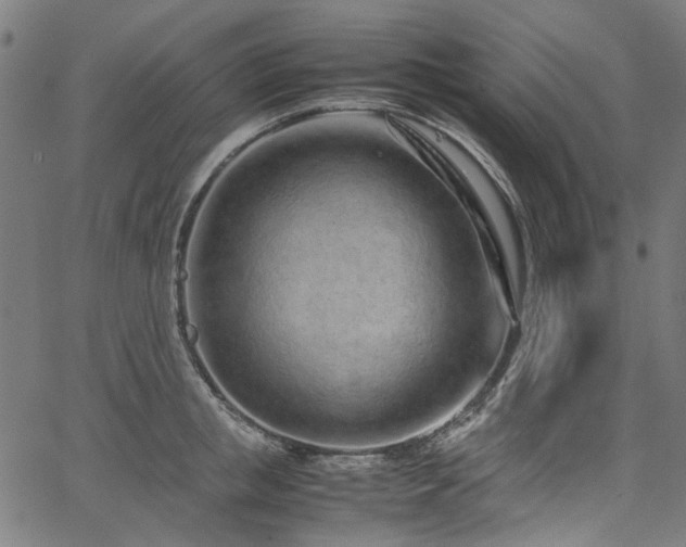 X0000067380853200603311209