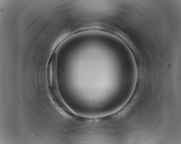 X0000067380858200603311209