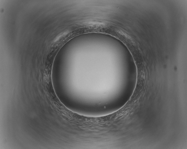 X0000067380869200603311208