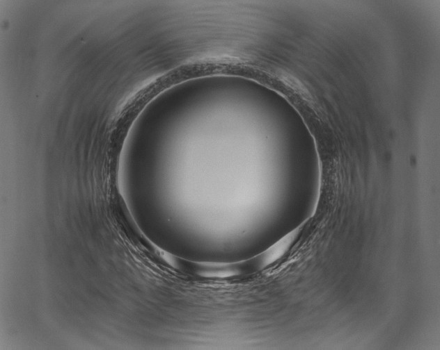 X0000067380872200603311208