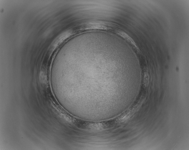 X0000067380882200603311208