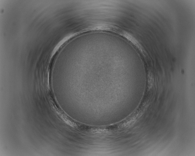 X0000067380886200603311208